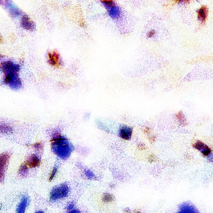 小妺妺扒开裤子自慰给我看
